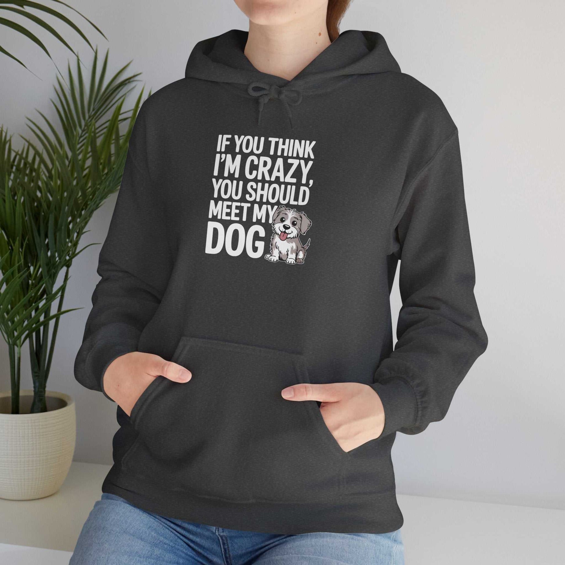 Person wearing a black hoodie with text and a dog graphic, standing indoors.