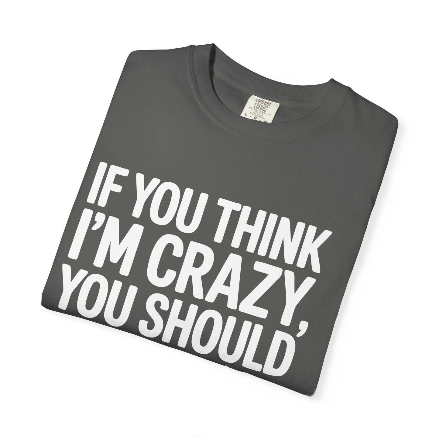 If You Think I'm Crazy You Should See My Dog Funny Dog Lover Pet Owner T-Shirt