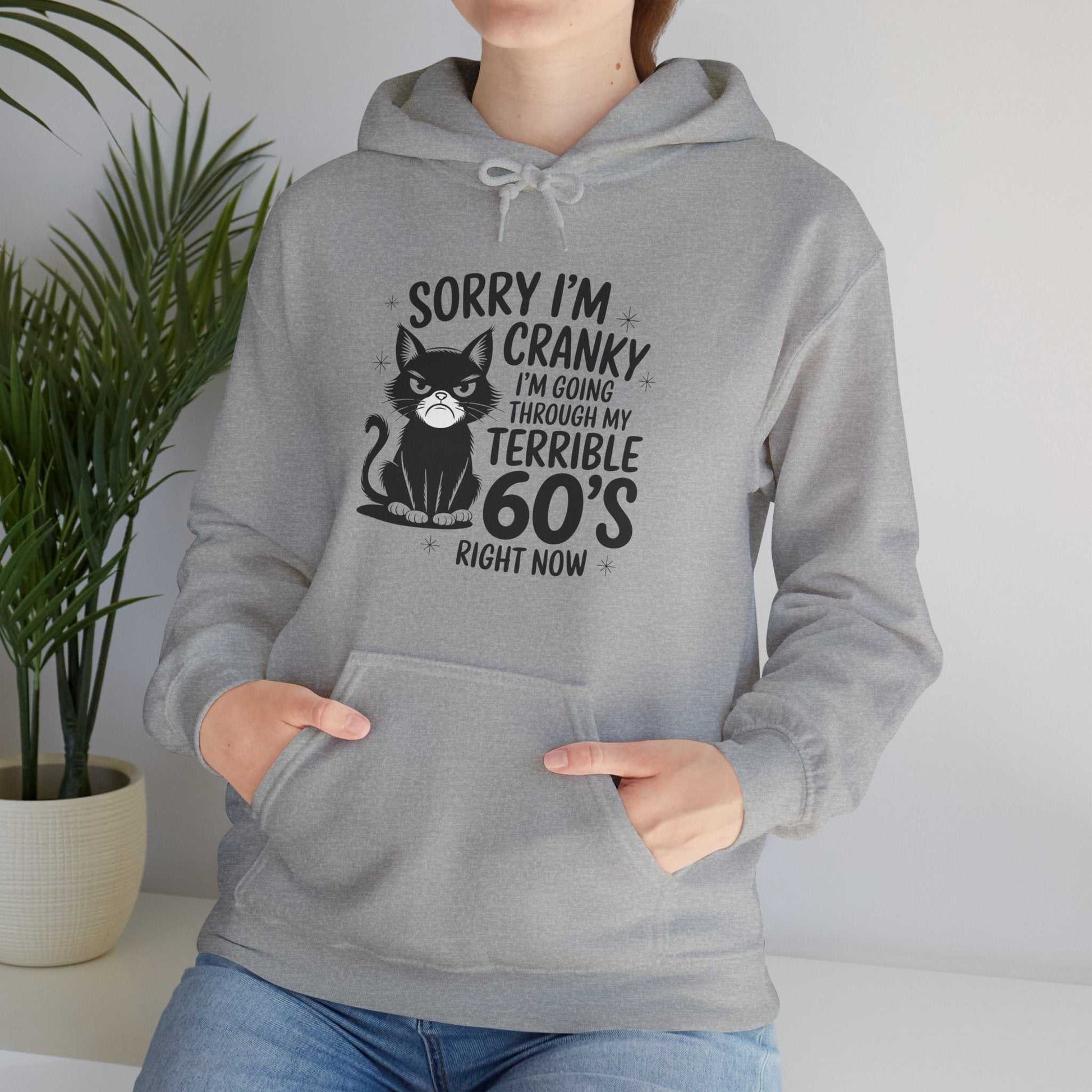Person wearing a gray hoodie with a cat graphic and text, standing indoors with a plant in the background.