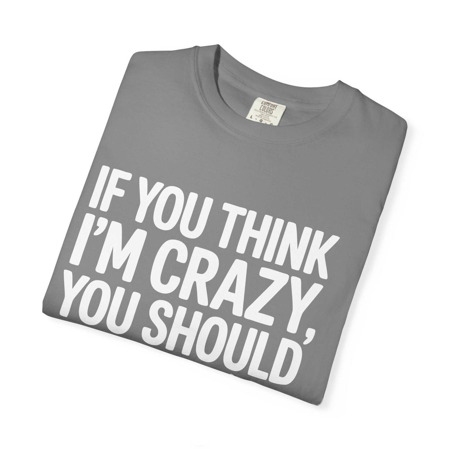 If You Think I'm Crazy You Should See My Dog Funny Dog Lover Pet Owner T-Shirt
