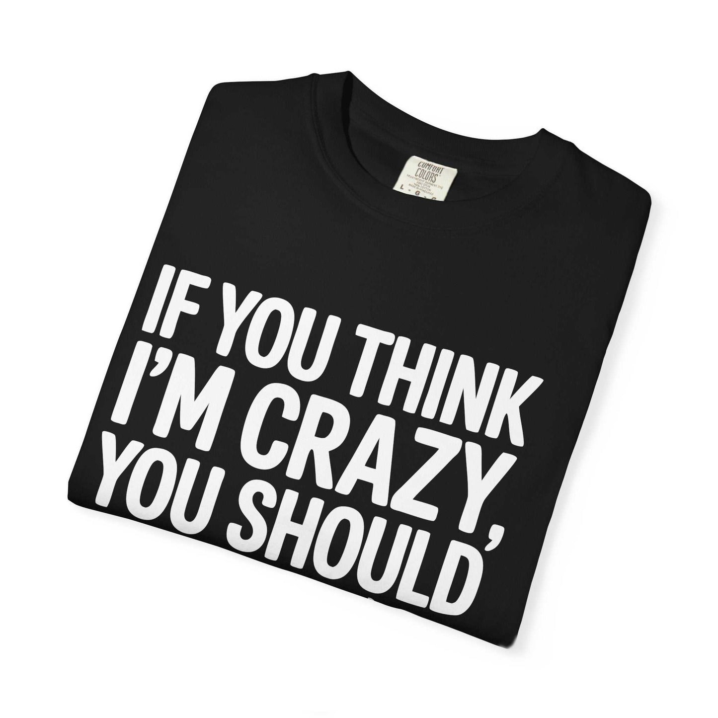 If You Think I'm Crazy You Should See My Dog Funny Dog Lover Pet Owner T-Shirt
