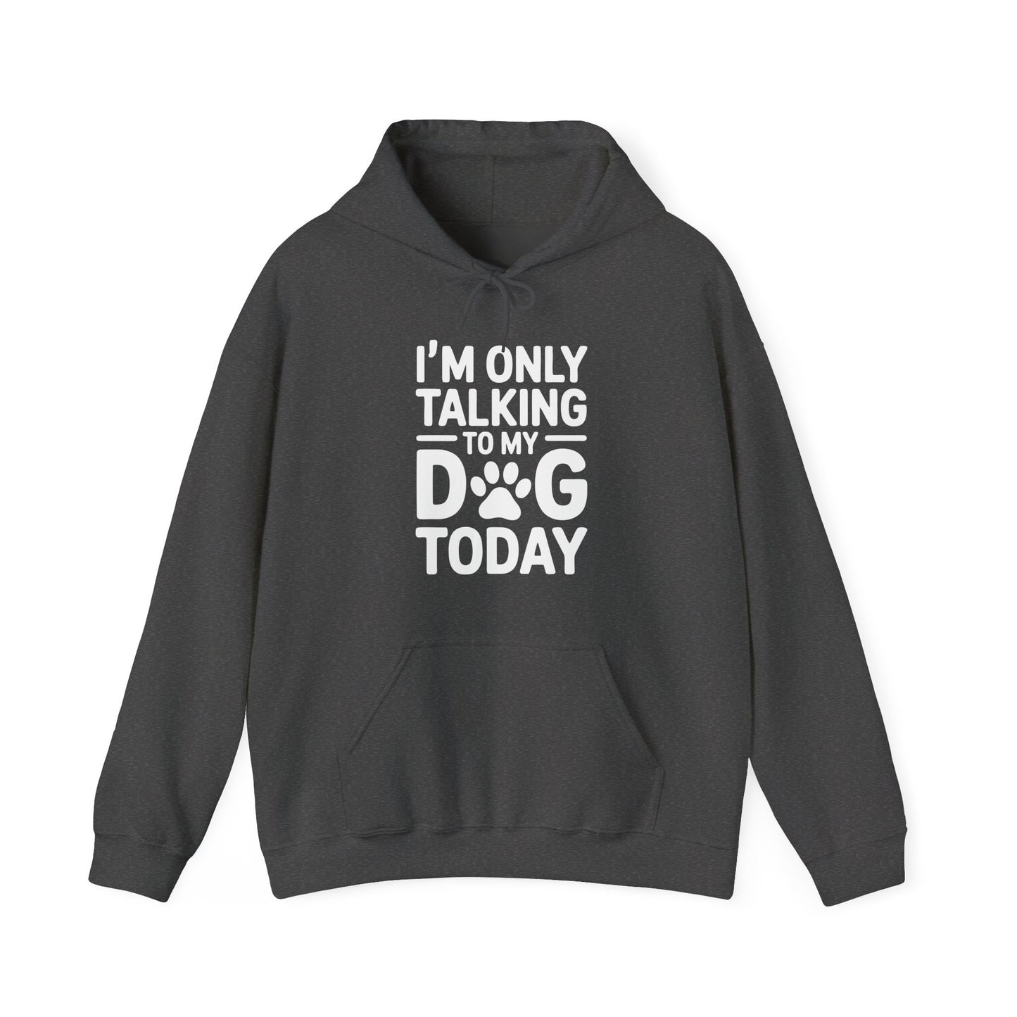 Dark gray hoodie with white text 'I'm only talking to my dog today' on a white background