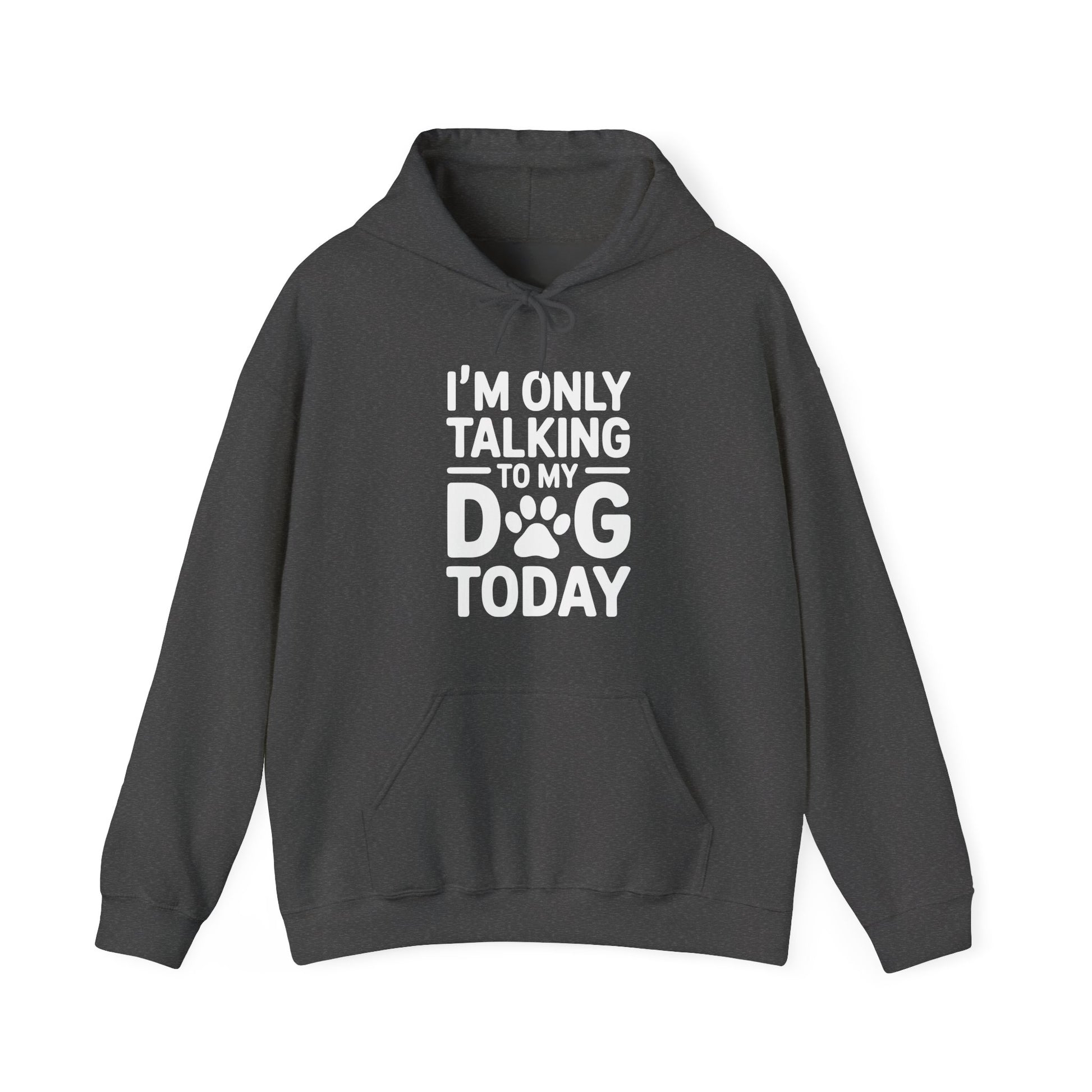 Dark gray hoodie with white text 'I'm only talking to my dog today' on a white background
